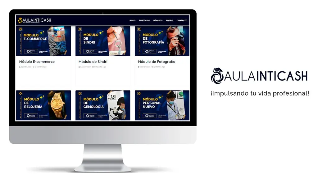 Aula virtual de Inticash